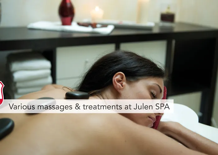 ホテル ウェルネス アルペンホフ 4*