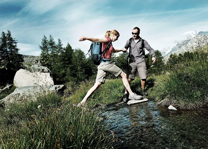 Wellness Alpenhof Hotell