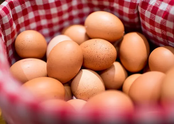 Hotel Wellness Alpenhof