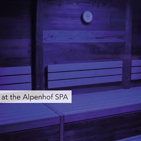Wellness Alpenhof Otel Zermatt