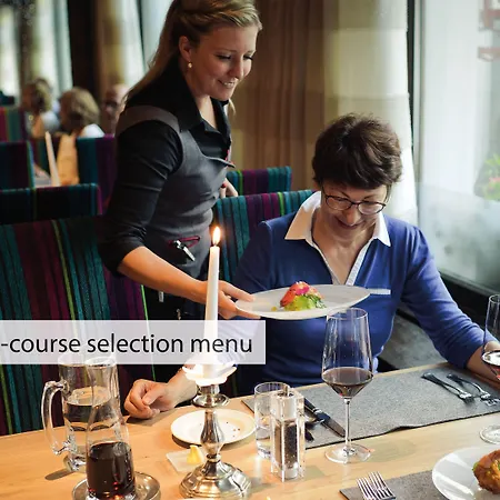 Hotel Wellness Alpenhof 4*