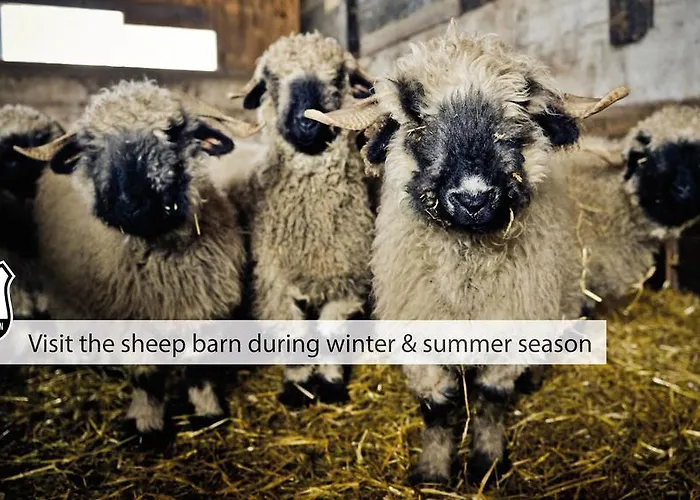 Wellness Alpenhof Hotel 4*